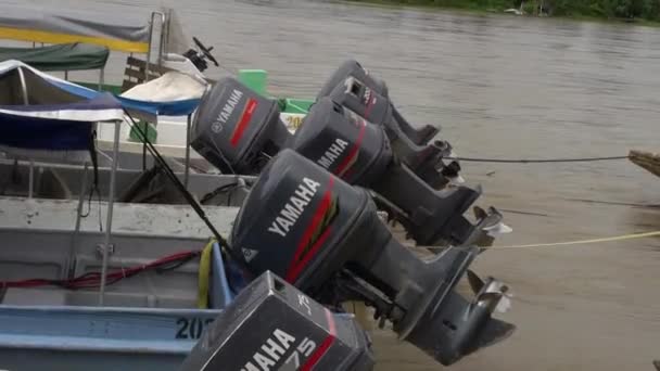 Barcos Fluviais Com Motores Yamaha Atracados Margem Grande Rio — Vídeo de Stock