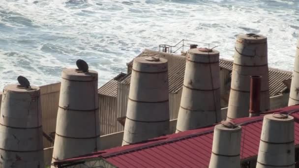Деактивированные Трубы Старого Цементного Завода Кабо Мондего Рядом Морем Изображение — стоковое видео