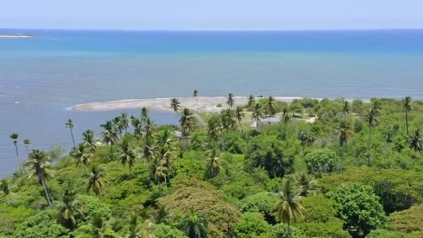 Вид Воздуха Тропический Залив Пальмами Playa Boca Del Soco Солнечный — стоковое видео