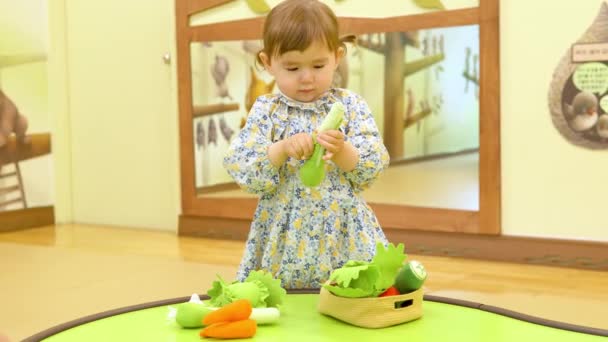 Aprendiendo Sobre Comida Saludable Una Niña Años Multirracial Juega Con — Vídeos de Stock