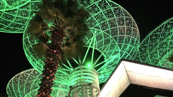 Árboles Brillantes Artificiales Futuristas Modernos Atracción Turística Dubái Por Noche — Vídeo de stock