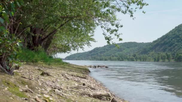 Brzeg Donau Wiedniu Austria Lecie Woda Wycieka Brzegu Ten Słoneczny — Wideo stockowe