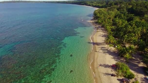 Stranden Punta Uva Med Karakteristisk Korall Costa Rica Videor Flygdrönare — Stockvideo