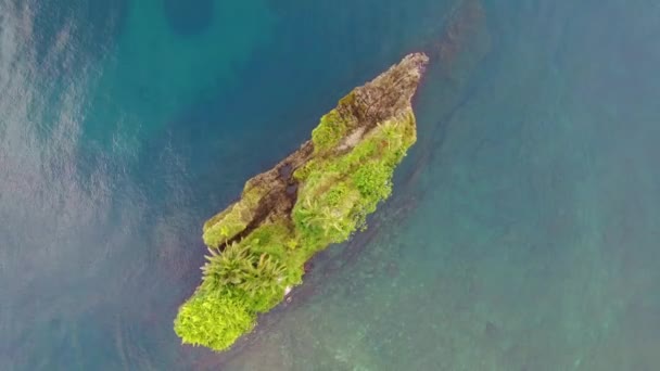 Aerial Video Cocles Insel Costa Rica Karibik Von Playa Puerto — Stockvideo
