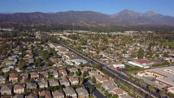 Aerial View Large Residential Neighborhood Los Angeles — Stock Video