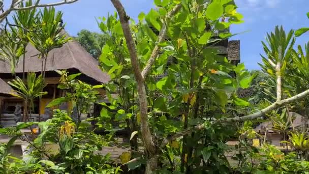 Hindu Temple Structures Green Tropical Lush Isla Bali Indonesia Panorama — Vídeos de Stock