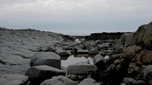 Video Playa East Quantoxhead — Vídeo de stock