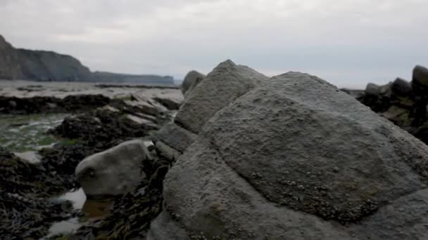 Panning Βίντεο Από Την Παραλία Πέτρα Στο East Quantoxhead — Αρχείο Βίντεο