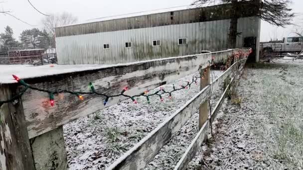 농장에서 크리스마스등으로 울타리로 장식된 — 비디오