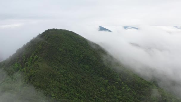 Colpo Aereo Montagne Verdi Piene Vegetazione Incapsulate Nuvole Bianche — Video Stock