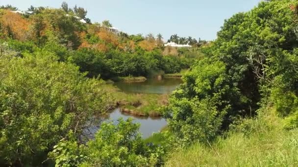 Seymours Farm Nature Reserve Bermuda — 비디오