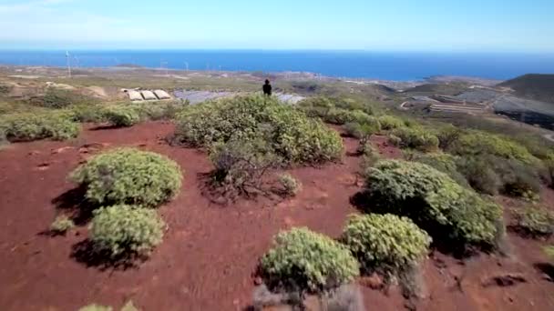 カナリア諸島のテネリフェ島で太陽光発電所を探している火山コーンの上に女性の空中ビュー ドローン撮影 — ストック動画