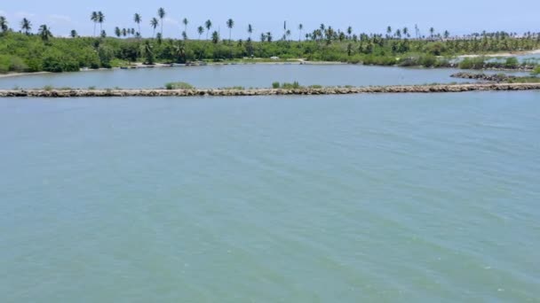 Aerial Approaching Flight Playa Boca Del Soco Tropical Landscape Backdrop — 비디오