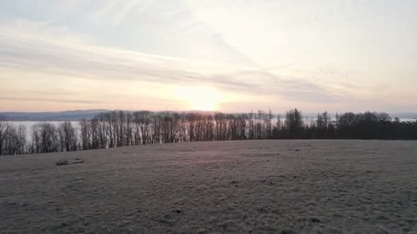 Flying Frozen Meadow Bare Deciduous Trees Reveal Incredible Foggy Sunrise — Vídeo de stock