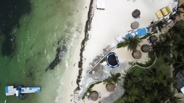 Cenital Drone Shot Turtle Beach Cancun — 비디오