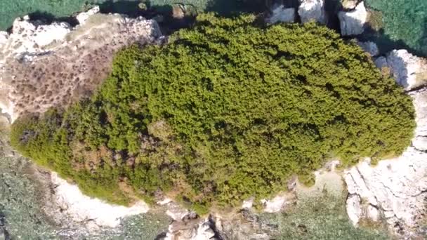 ギリシャのイオニア諸島レフカダ島近くの小さな無人島 オーバーヘッド航空機 — ストック動画