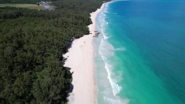 Flygbilder Längs Vit Sandstrand Med Lugna Turkosa Vatten Oahu Hawaii — Stockvideo