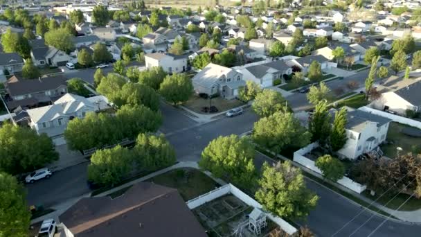 Maisons Unifamiliales Dans Quartier Banlieue Puis Inclinaison Aérienne Vers Haut — Video