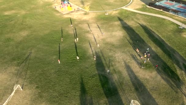 Parkta Kickball Oynayan Çocuklar Hava Yörüngesi Görünümü — Stok video