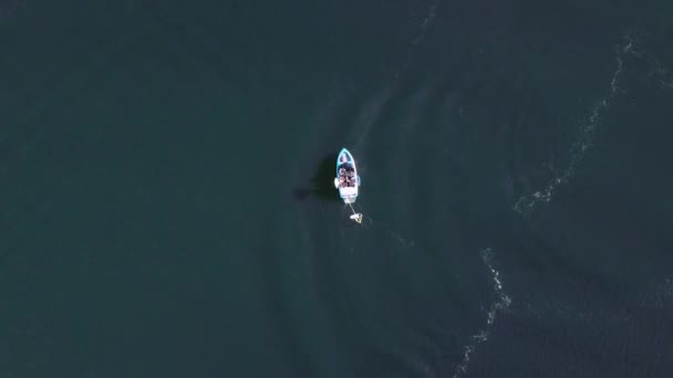 Drone Flotando Sobre Barco Despertar Surfista Cottage Grove Lake Oregon — Vídeos de Stock