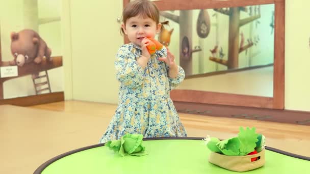 Schattig Klein Meisje Spelen Educatief Speelgoed Gyeonggi Children Museum Zuid — Stockvideo