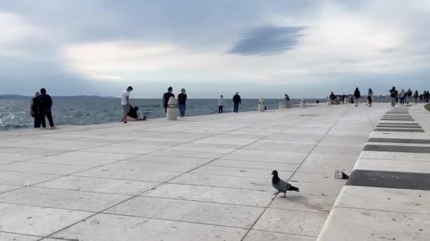 Promenáda Zadaru Architektonickým Zázrakem Varhany Časové Prodlevě — Stock video