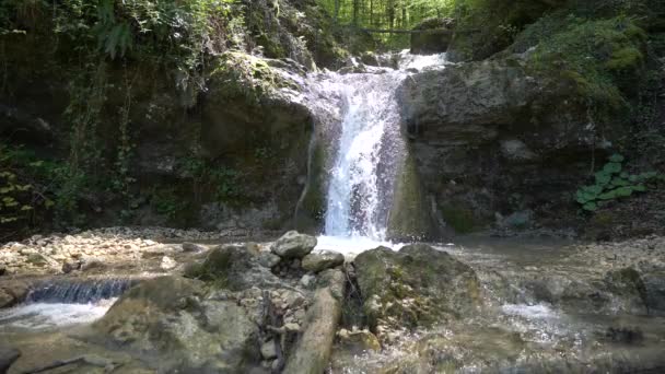 Plan Statique Une Cascade Coulant Entre Les Arbres Forestiers Dans — Video