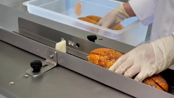 Close View Worker Putting Footlongs Conveyer Belt Final Packaging Food — Stock Video