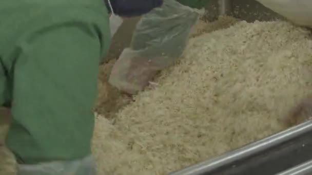 Pracownicy Fabryki Ryżu Przetwarzający Surowy Niepoddany Obróbce Ryż Fabryce — Wideo stockowe