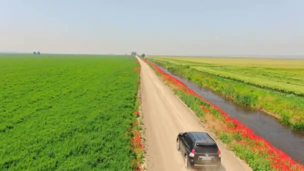 Drohnen Luftaufnahme Der Landwirtschaft Gerste Hafer Weizenfeld Drohne Erschossen Von — Stockvideo