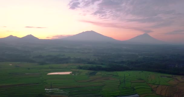 Kolorowe Różowe Niebo Podczas Wschodu Słońca Nad Indonezją Wsi Widokiem — Wideo stockowe