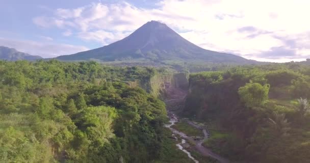 Filmluftflug Über Tropische Waldlandschaft Und Ausgetrockneter Lavapfad Nach Ausbruch Des — Stockvideo