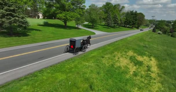Aerial View Amish Horse Buggy Horse Pulls Carriage Street Beautiful — Stock Video