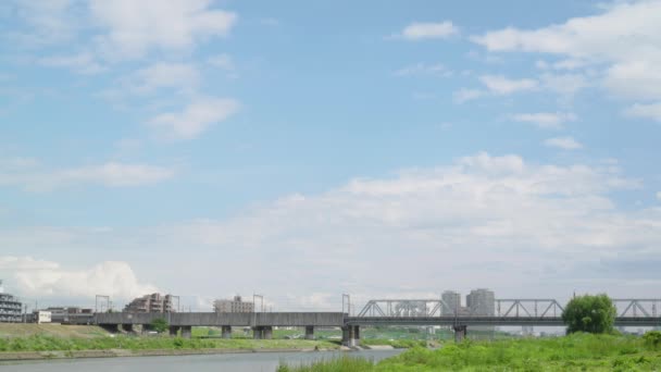 Beautiful Summer Day Japan — Stock Video