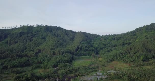 Дрони Летять Біля Гір Вулкану Вкритого Зеленими Деревами Індонезії Пагорб — стокове відео