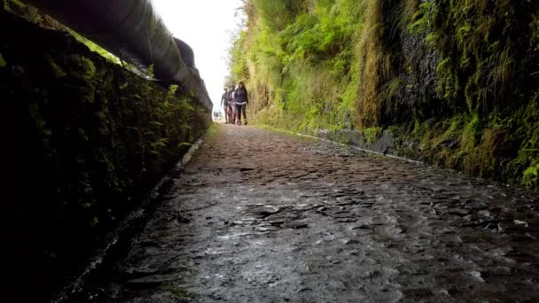 Viajantes Caminhando Passo Passo Para Fontes Caminhadas Madeira Portugal Tiros — Vídeo de Stock