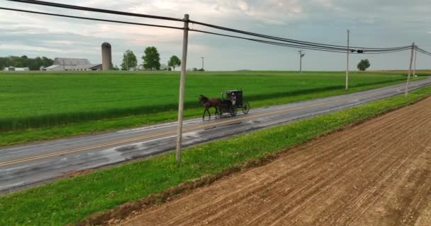 Retroceder Tiro Rastreamento Aéreo Cavalo Buggy Pessoas Amish Regressam Casa — Vídeo de Stock