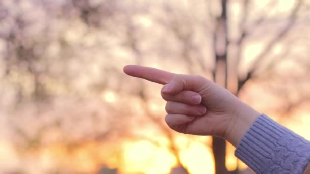 Anderen Voortdurend Schuld Geven Met Één Vinger — Stockvideo