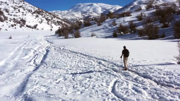 カーキ色のハイキングパンツと黒いポロの男は 晴れた日にイスラエルのヘルモン山の厚い雪の層で彼のマウンテンブーツでノルディックウォーキングをします 空中定常射撃 — ストック動画