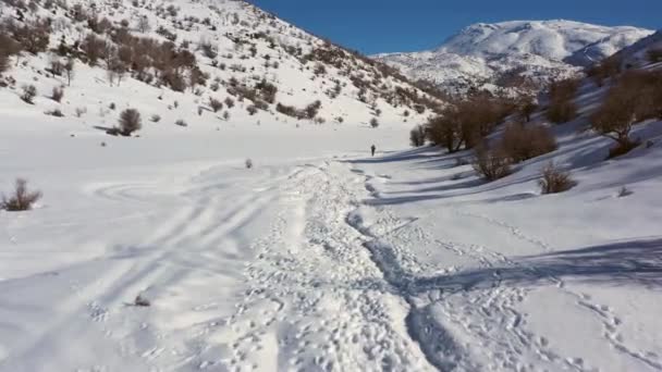 Ein Mann Khakifarbenen Wanderhosen Und Schwarzem Polo Macht Einem Sonnigen — Stockvideo