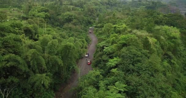 Endonezya Daki Kum Madenleri Için Merapi Volkanı Nın Yamacındaki Orman — Stok video