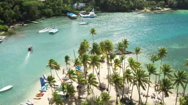 Aerial View Iconic Marigot Bay Beautiful Sand Palm Trees Paradise — Video Stock