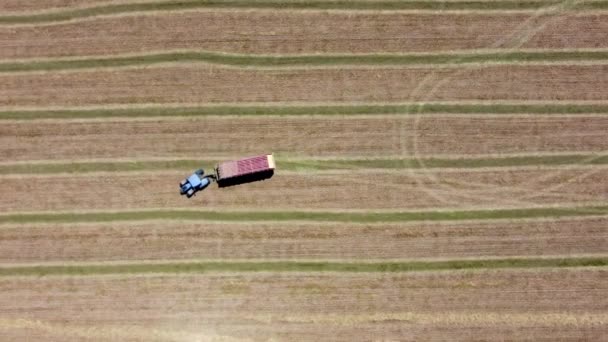 Boven Lucht Drone Uitzicht Een Tractor Oogsten Opbrengst Gerst Haver — Stockvideo