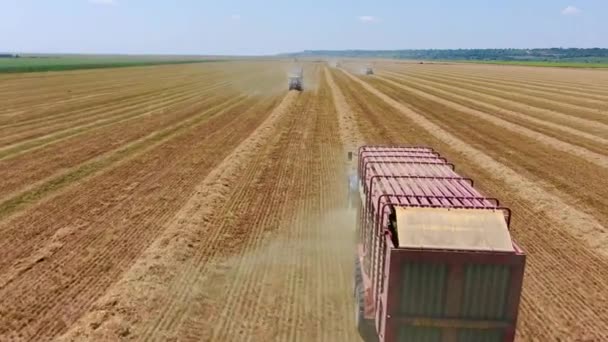 Vista Aérea Agricultura Múltiples Tractores Desde Tractor Trasero Tirando Cosecha — Vídeos de Stock