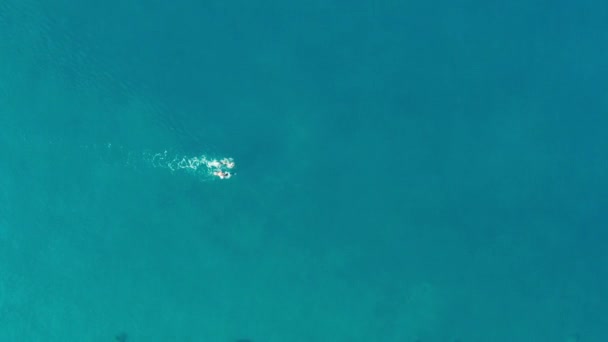 Aerial View Drone Two Swimmers Practicing Swimming Open Water Alone — Stock Video