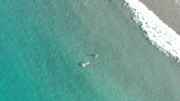 Lucht Drone Uitzicht Een Paar Zwemmen Kristalheldere Turquoise Atlantische Oceaan — Stockvideo