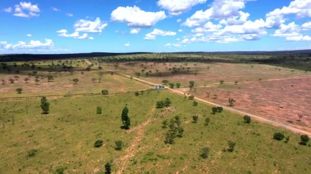 ブラジルのサバンナの森林破壊された土地は違法大豆生産のために使用されます 空飛ぶ — ストック動画