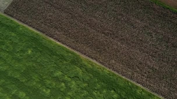 ブラジルのサバンナの森林に覆われた農地でさまざまな段階で大豆が栽培されているフィールド 空飛ぶ — ストック動画