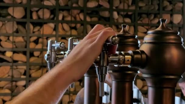 Barman Sirviendo Cerveza Del Grifo Mientras Los Clientes Ríen Fondo — Vídeo de stock