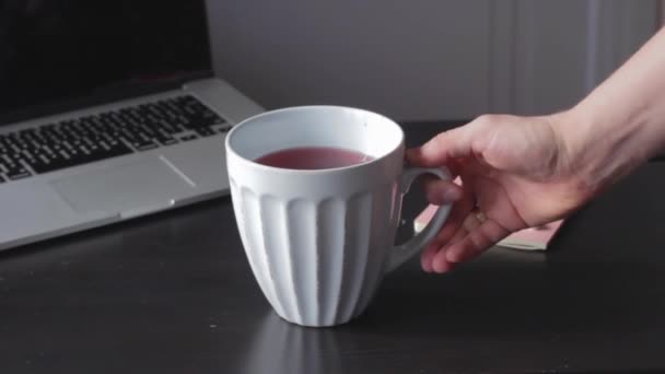 Rooibos Czerwona Torebka Herbaty Zanurzanie Podczas Pracy Domu — Wideo stockowe